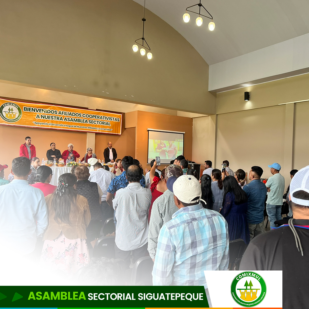 Desarrollo de la asamblea