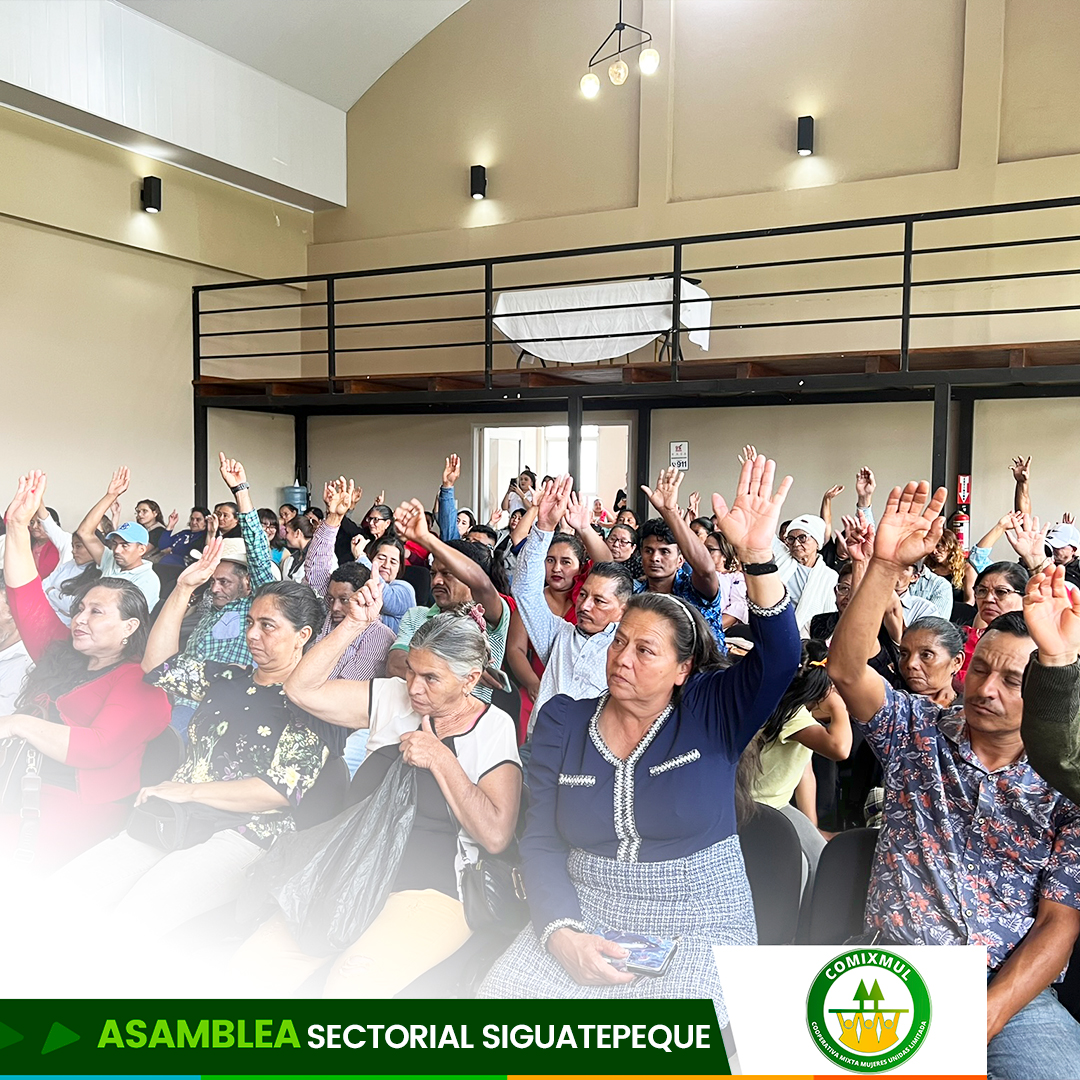 Asociados participantes