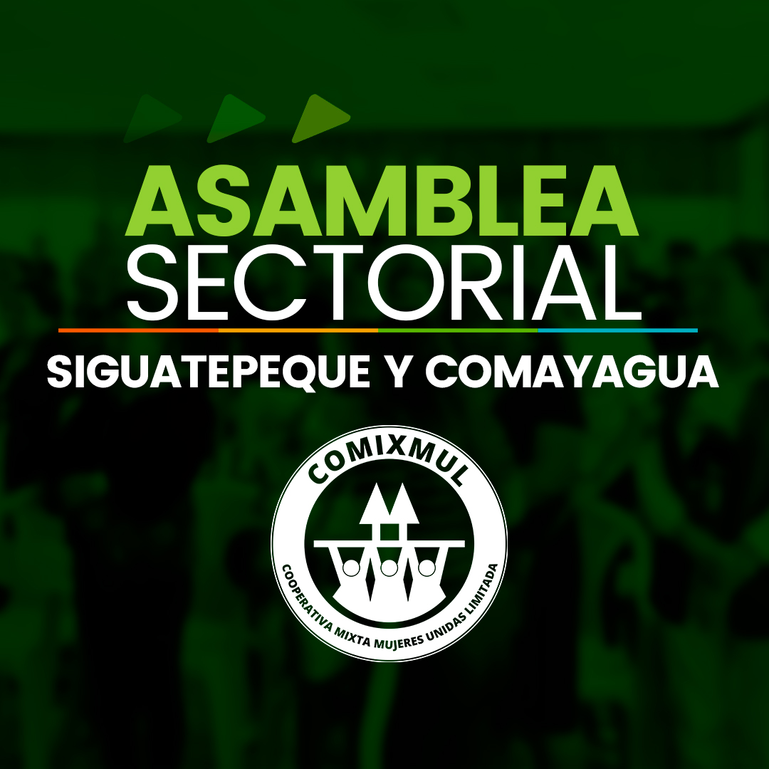 Asamblea Choluteca