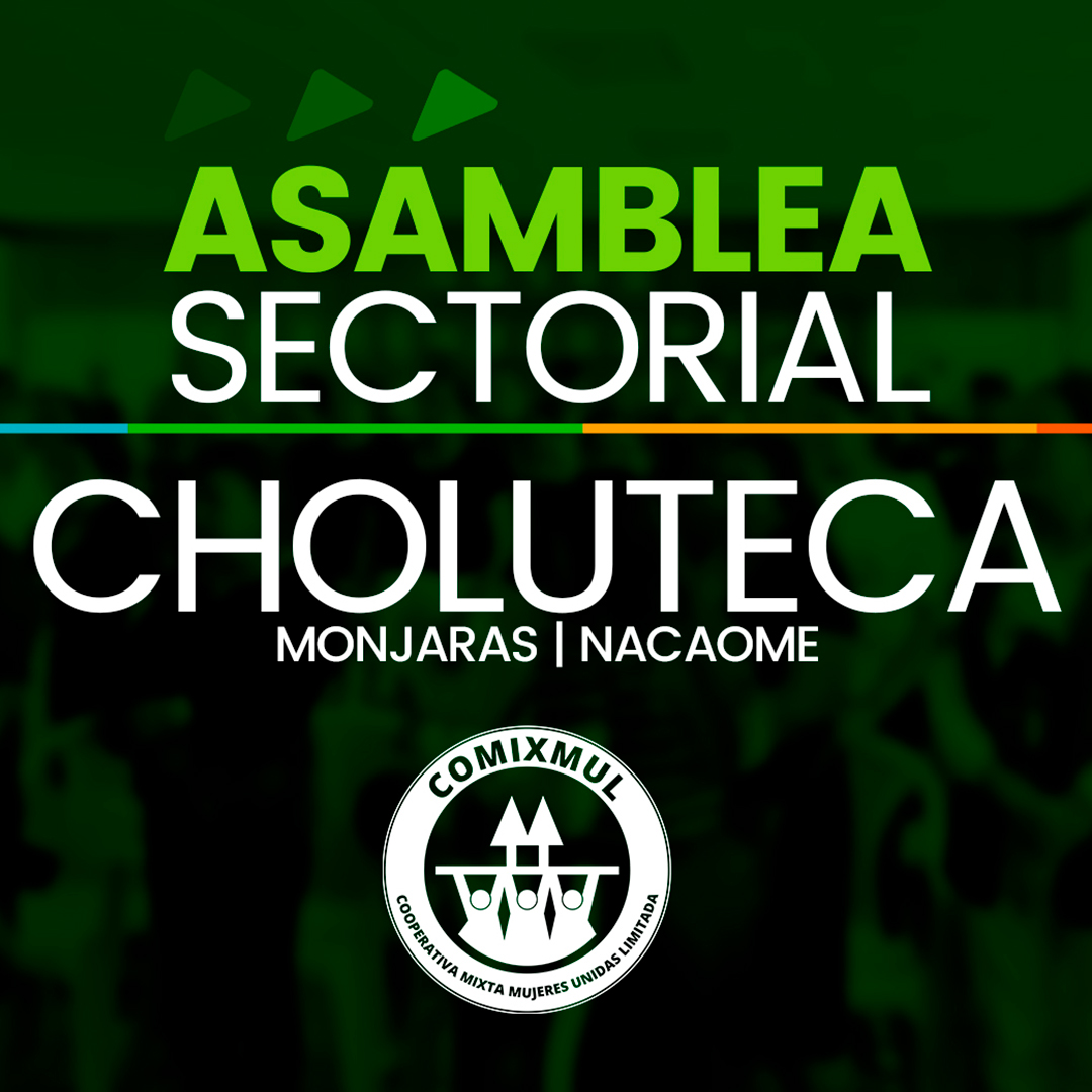 Asamblea Choluteca