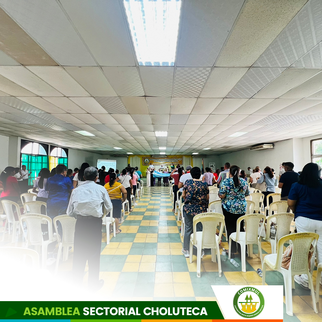 Desarrollo de la asamblea
