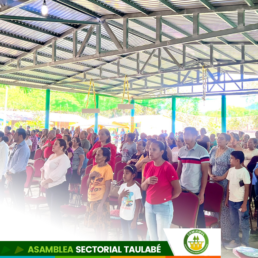 Asociados participantes