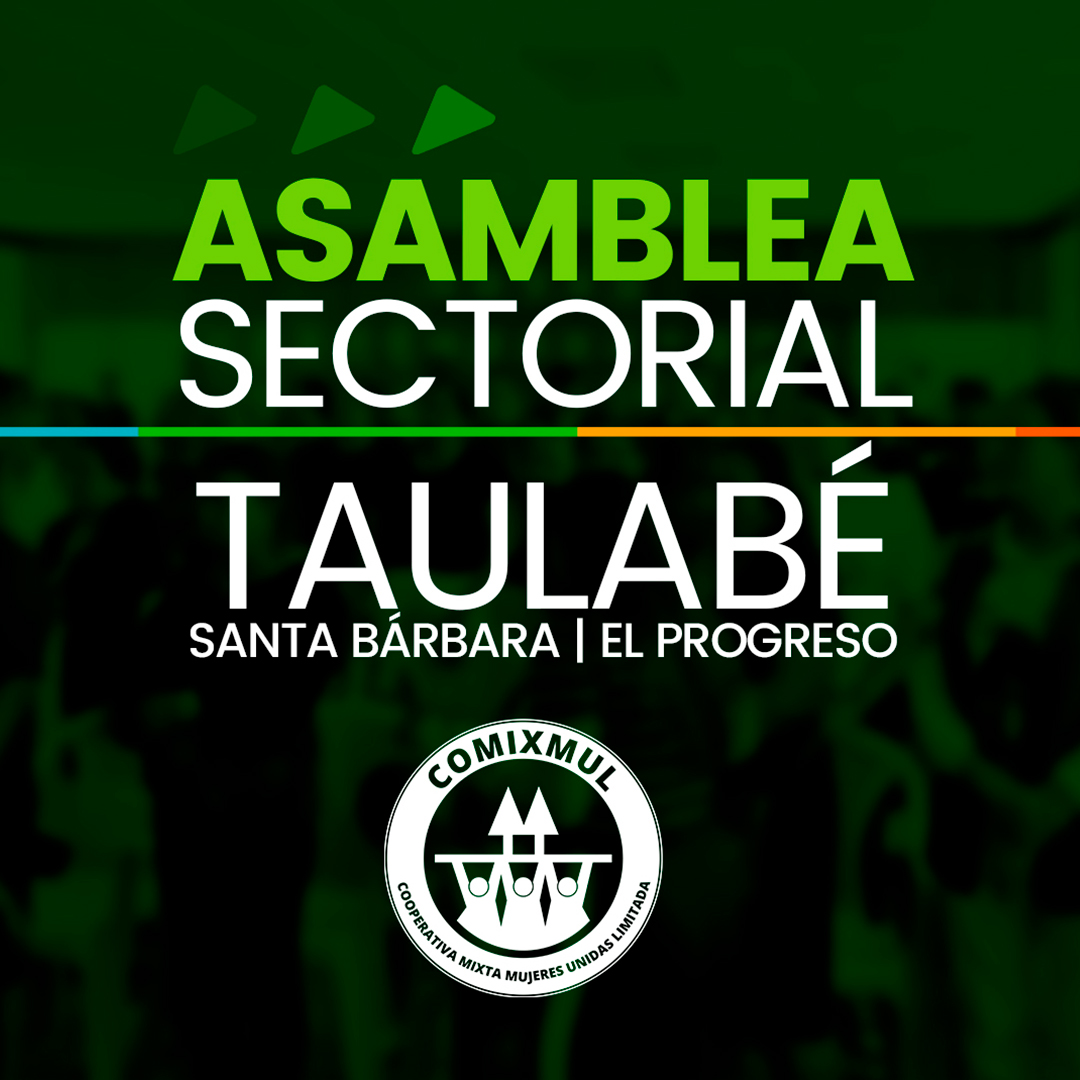 Asamblea Choluteca