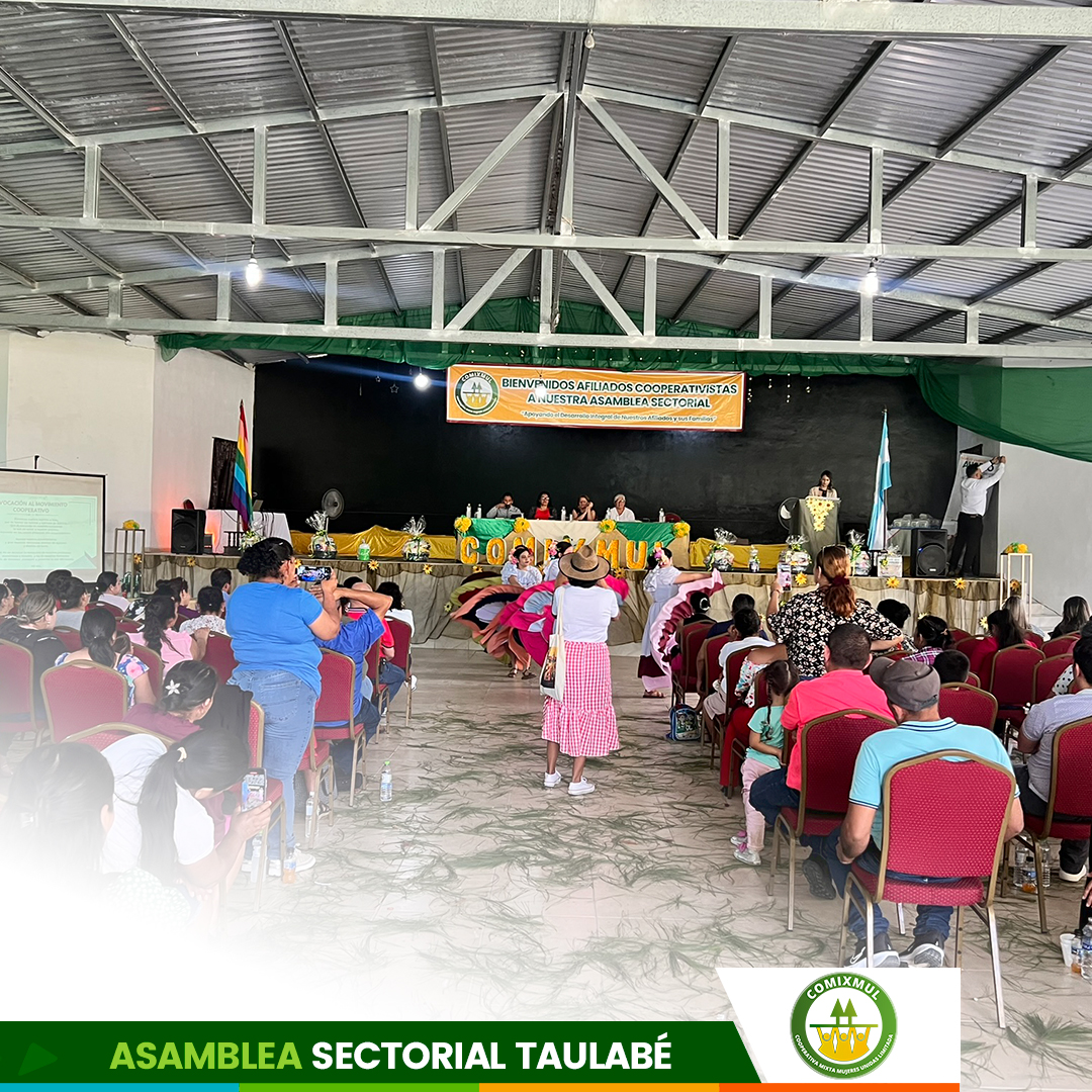 Desarrollo de la asamblea