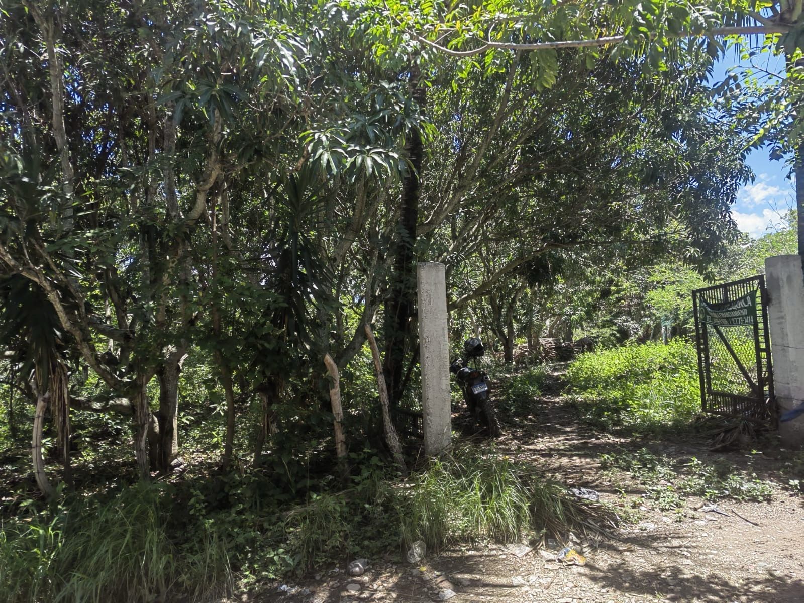 Imagen 1