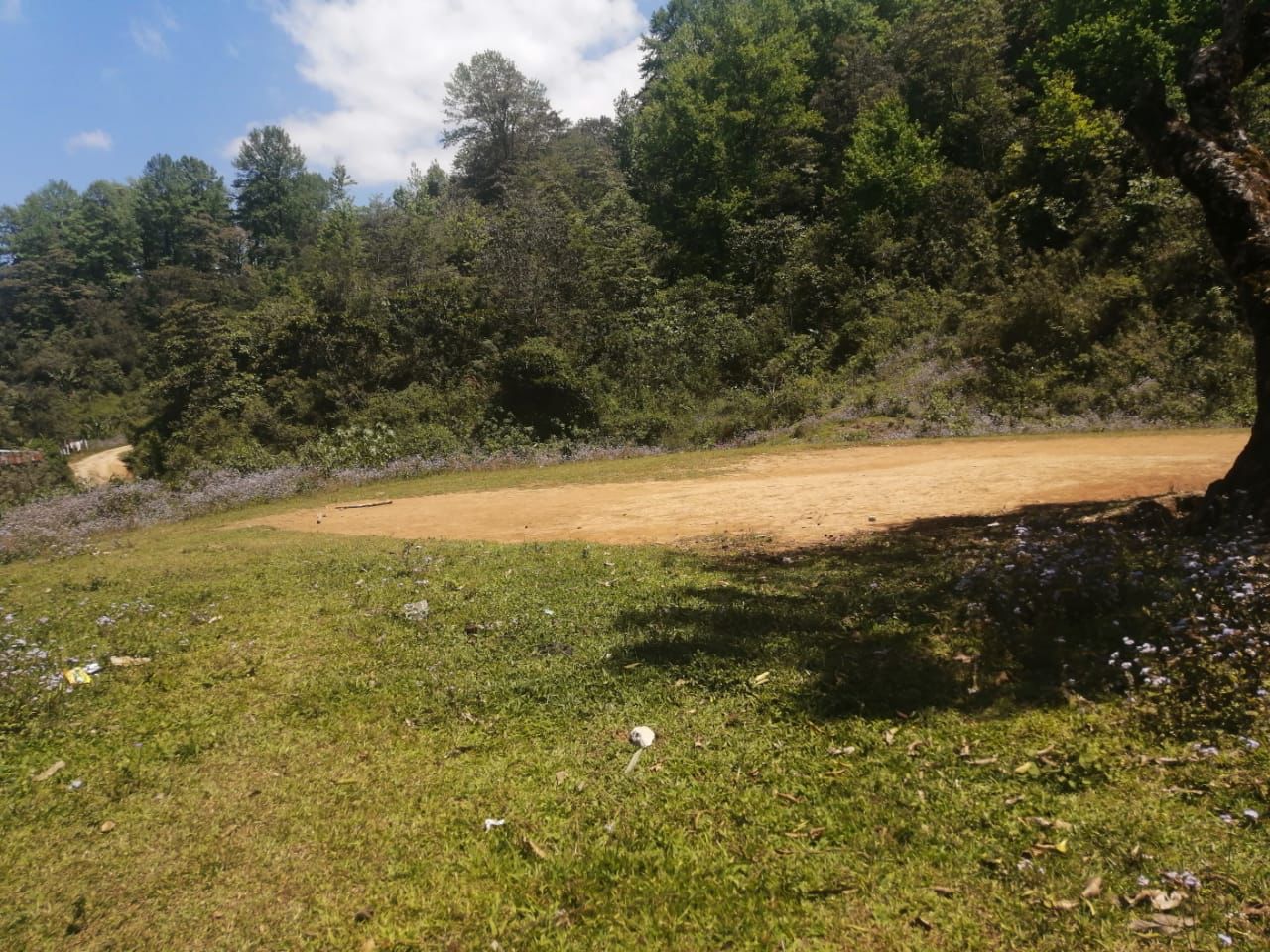 Terreno 3
