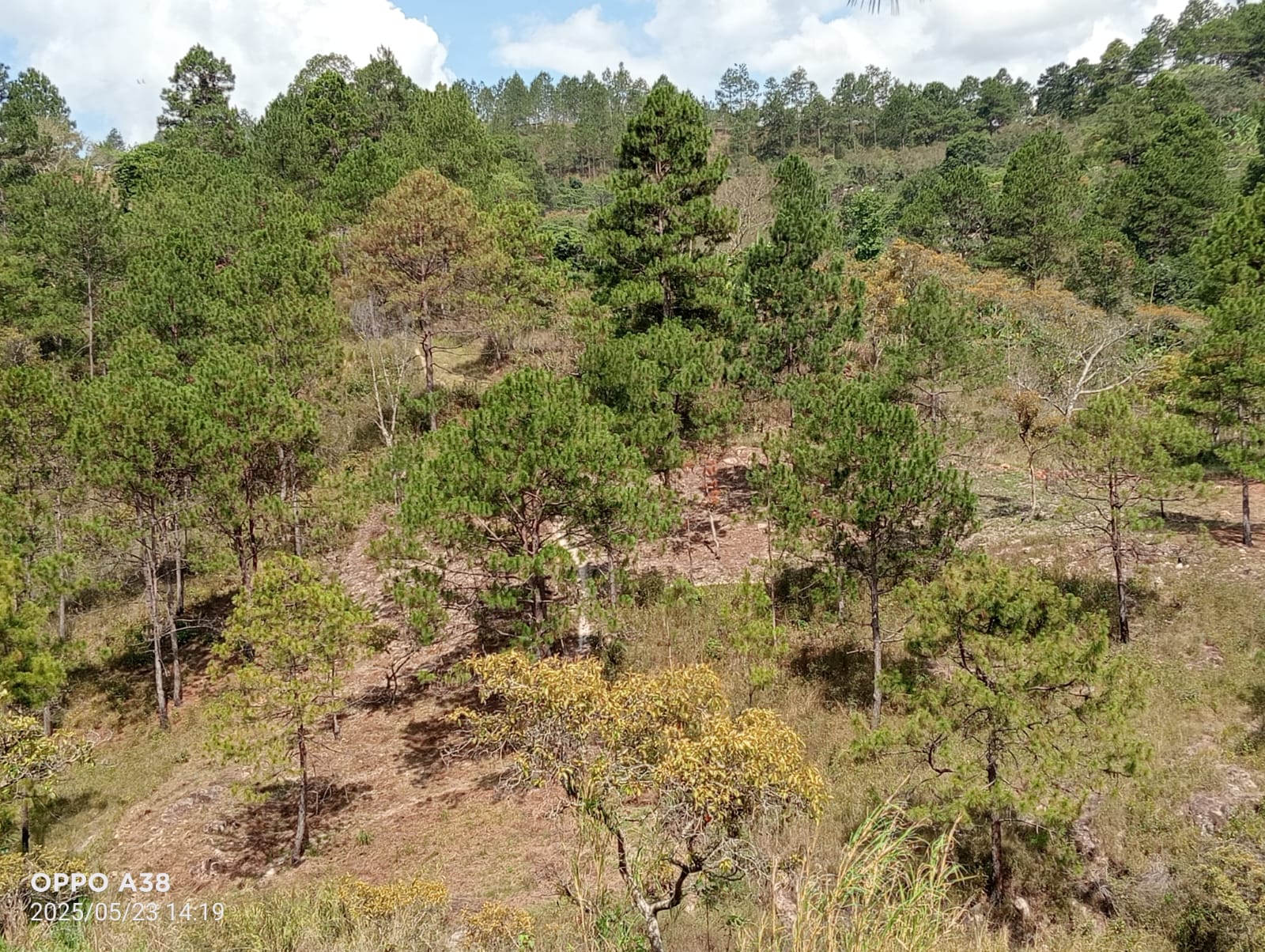 Terreno 2