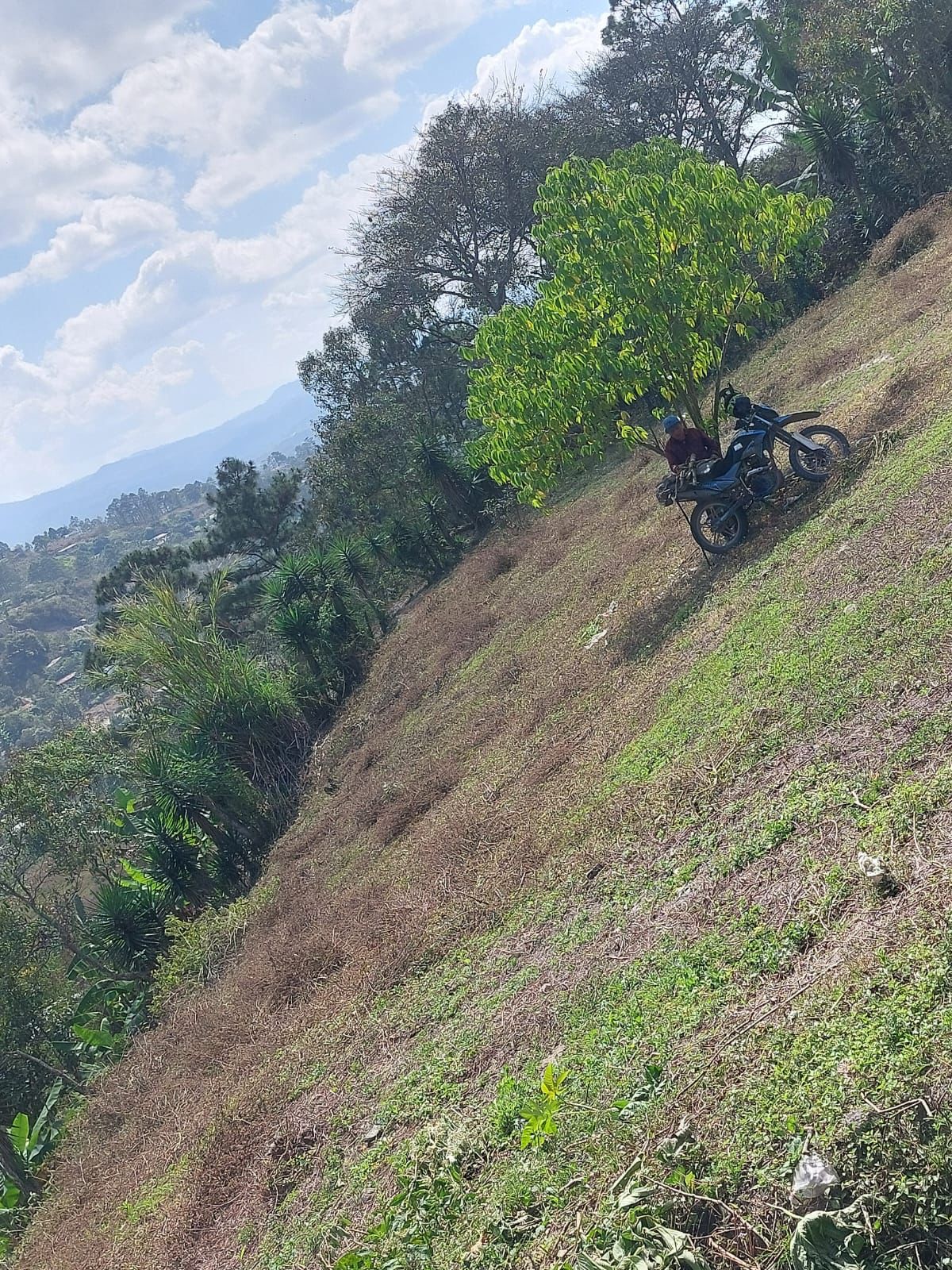 Terreno 3
