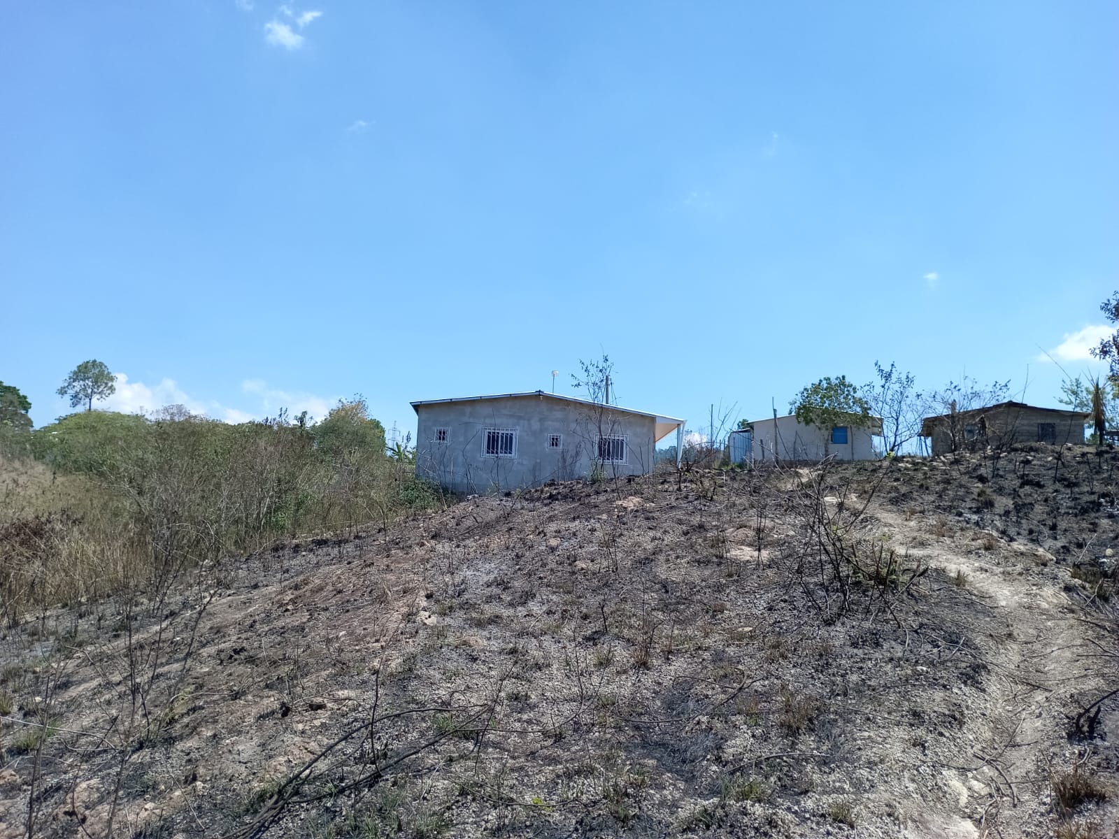 Terreno 3